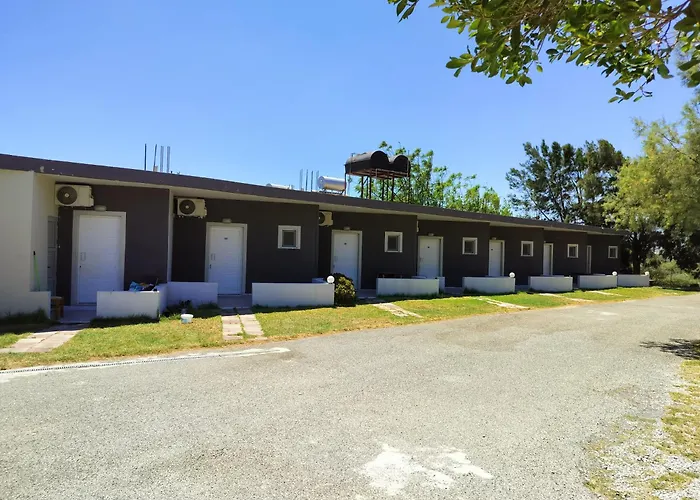 Ledakis Studios